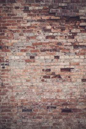 Picture of BRICKED
