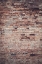 Picture of BRICKED