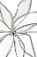 Picture of FRAGILE FLOWER