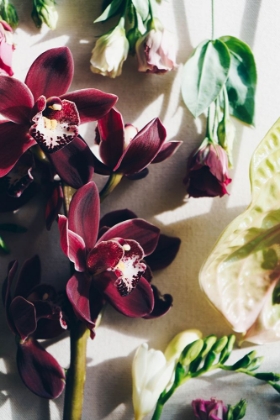 Picture of FLOWER MOOD