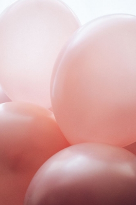 Picture of ROSY BALLOONS