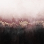 Picture of PINK SKY