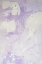 Picture of PURPLE SHADES
