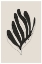 Picture of MODERN FLOWER