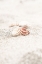 Picture of BEACH_013
