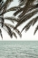 Picture of SOLARIS 04