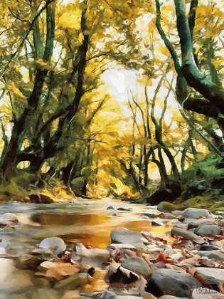 Picture of RIVER IN THE FOREST IV