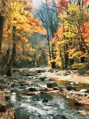 Picture of RIVER IN THE FOREST V