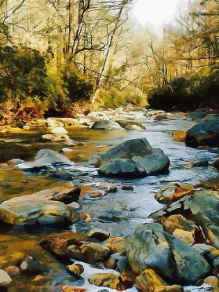 Picture of RIVER IN THE FOREST VII