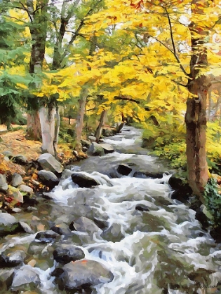 Picture of RIVER IN THE FOREST VIII