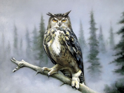 Picture of OWL IN WINTER