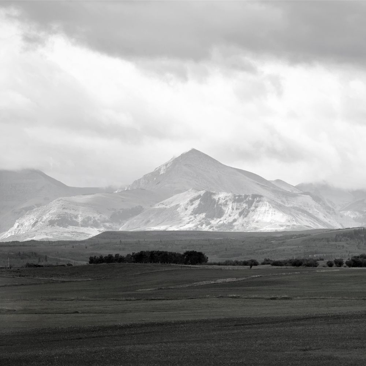 Picture of ALBERTA FOOTHILLS I