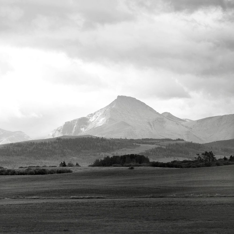 Picture of ALBERTA FOOTHILLS II