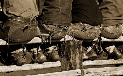 Picture of WRANGLERS