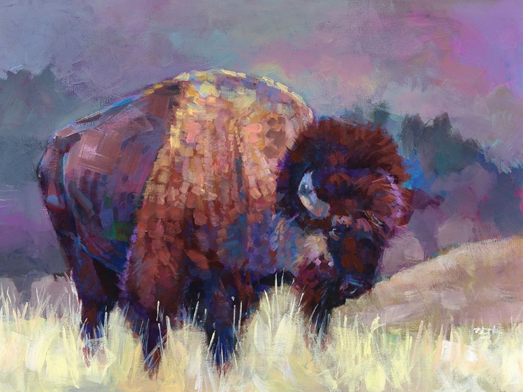 Picture of BUFFALO ROAM