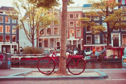 Picture of AMSTERDAM BIKES NO. 2