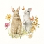 Picture of HOP ON SPRING IV