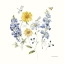 Picture of LOVELY BLUES V