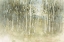 Picture of NATURES CALL IV NEUTRAL