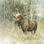 Picture of NATURES CALL V NEUTRAL