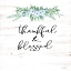 Picture of THANKFUL AND BLESSED 
