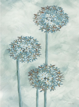 Picture of ALLIUM IV