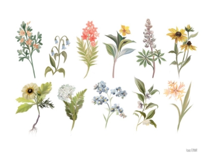 Picture of SPRING BOTANICALS