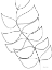 Picture of LEAF SKETCH 1