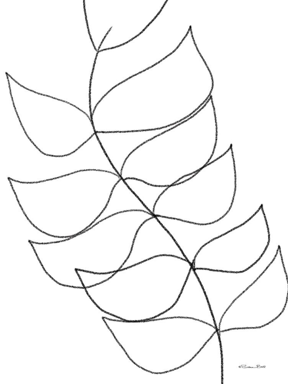 Picture of LEAF SKETCH 1