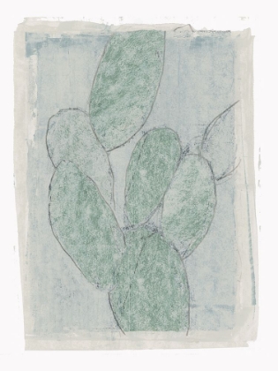 Picture of CACTUS SKETCH II