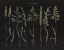 Picture of HERBAL BOTANICAL VII BLACK WOOD