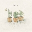 Picture of GARDEN PLANTS