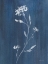 Picture of SIMPLE NATURE IV