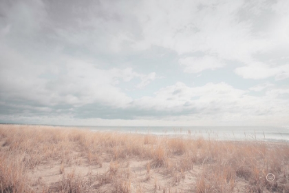 Picture of DESERTED SANDS