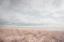 Picture of DESERTED SANDS