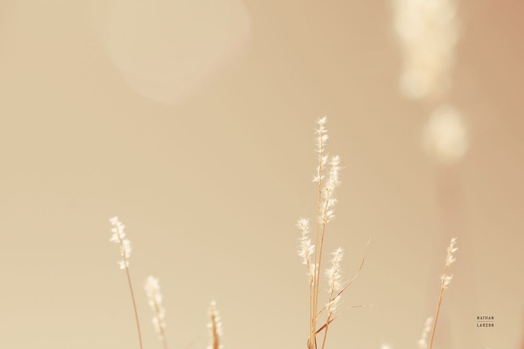 Picture of LAKESIDE GRASSES I