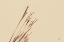 Picture of LAKESIDE GRASSES IV