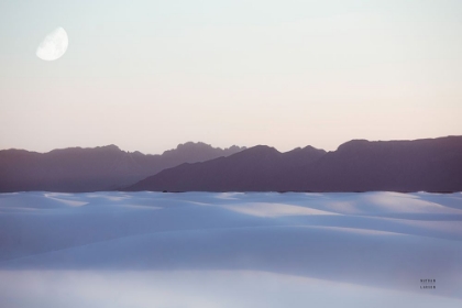 Picture of WHITE SANDS DREAM