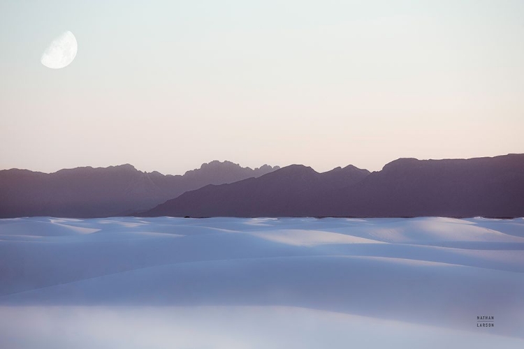 Picture of WHITE SANDS DREAM