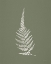 Picture of TRUE GREEN IX