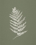 Picture of TRUE GREEN X