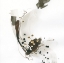 Picture of GOLD DOTS III
