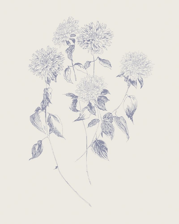 Picture of FLOWERS ON WHITE VI BLUE