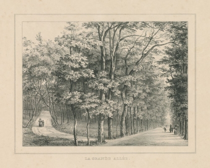 Picture of FRENCH PARK ETCHING II