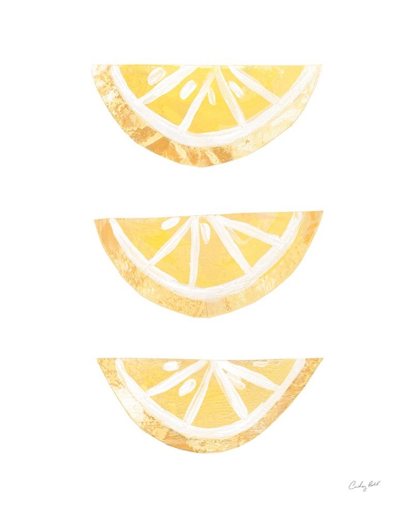 Picture of LEMON SLICES I