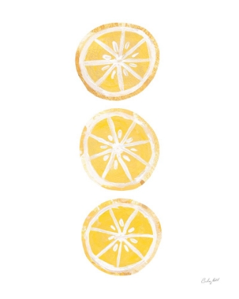 Picture of LEMON SLICES II