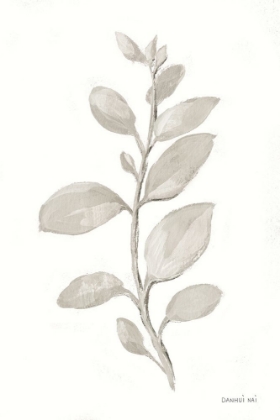 Picture of GRAY SAGE LEAVES II ON WHITE