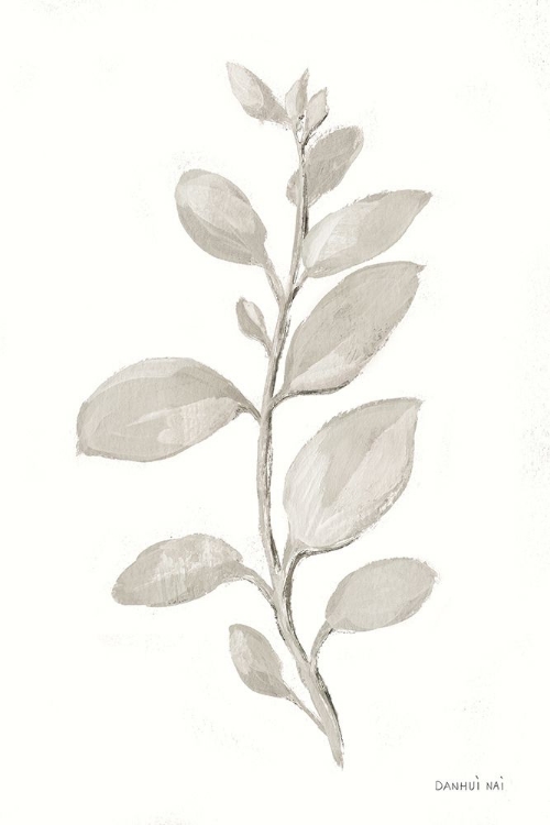 Picture of GRAY SAGE LEAVES II ON WHITE