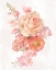 Picture of SORBET FLORET II