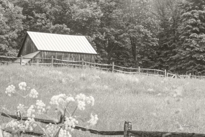 Picture of SUMMER FARM I BW